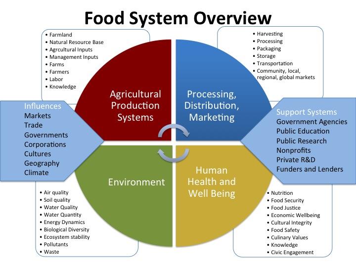 Food System Overview