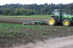 Offset disk for primary or secondary tillage. Photo: C. Benedict.