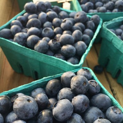 Blueberries pints